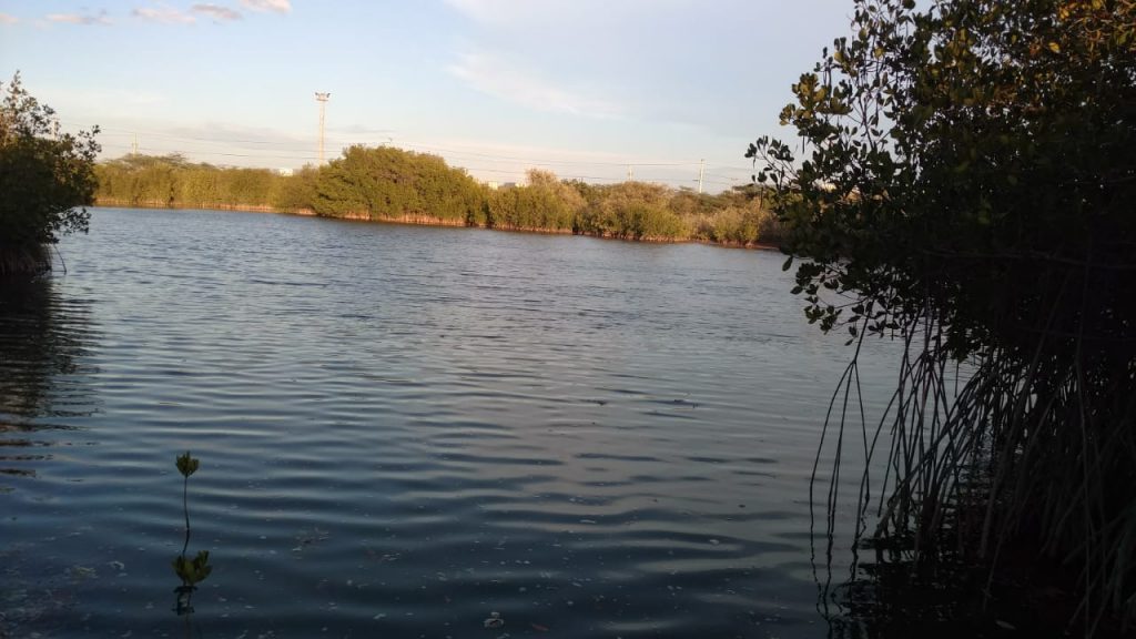 LAGUNA LLENA 2