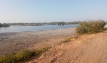 esta zona corresponde al humedal que esta conectada al Parque de Manglares de Estero Balsa 1