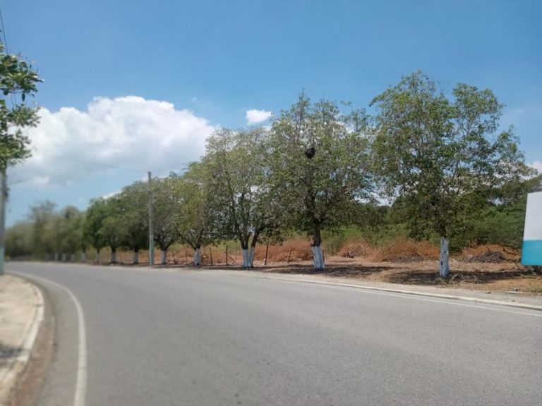 "Ministro José Ignacio Paliza señalado en Manzanillo por presunto intento de despojo de terrenos urbanos destinados a proyectos sociales como INFOTEP e INAIPI."