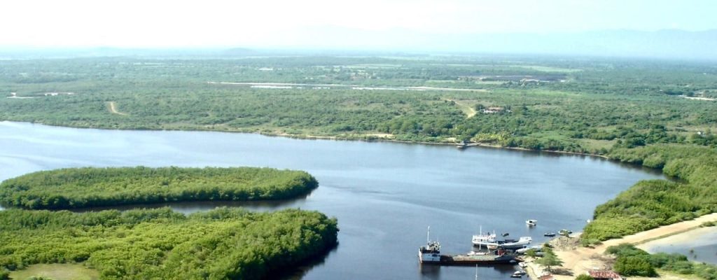 Los 500 mil metros de bosque secos devastado. Foto cortesia de armando Interian
