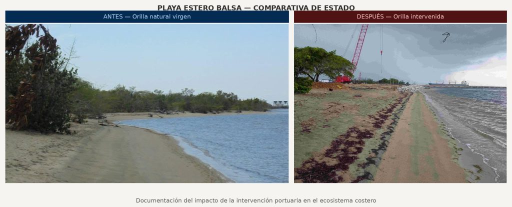 ESTERO BALSA ANTE Y AHORA 1