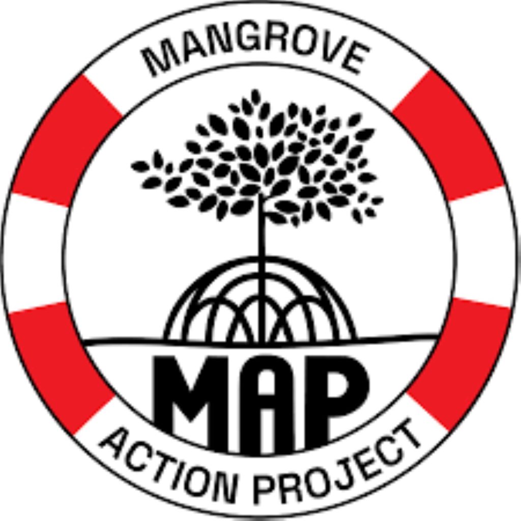 MANGROVE 2