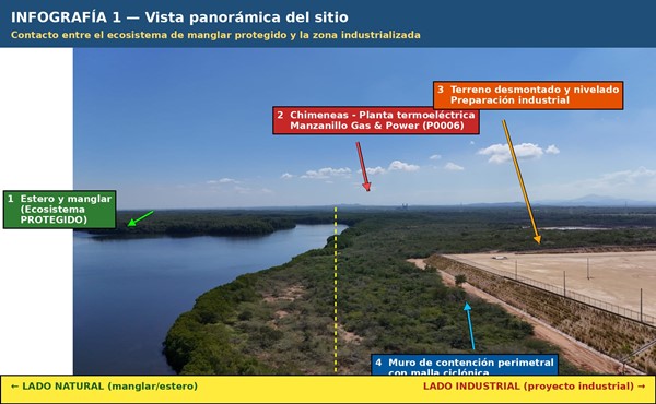 Imagen1